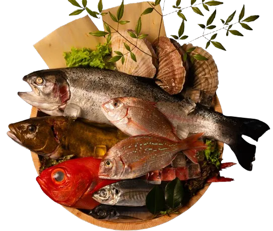 サーモンやホタテ、新鮮な海産物